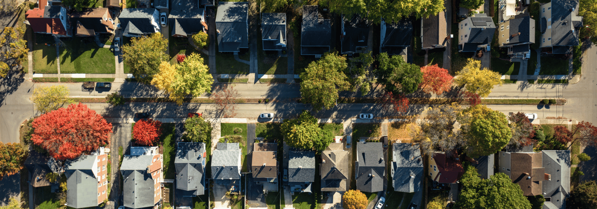 neighborhood